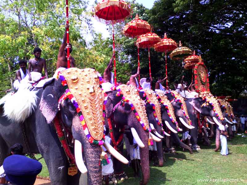 Thrissur Pooram Festival Pictures