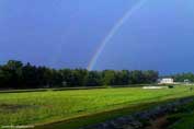 arattupuzha-pictures-thrissur-kerala