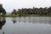 kerala-photos-natural-thrissur