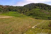 kerala-photos-tourism-india