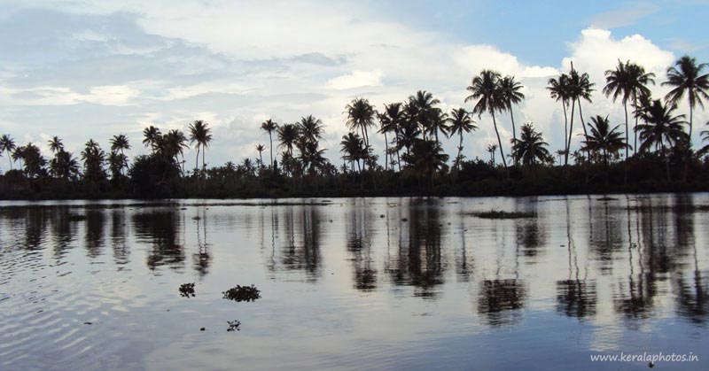 alappuzha-kayal-backwaters-kerala
