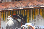 kerala-temple-festivals-thrissur