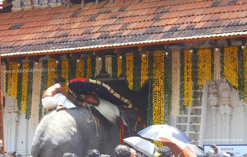 kerala-temple-festivals-thrissur