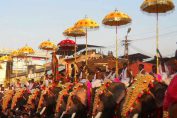 kerala-thrissur-pooram-image