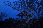 temple-picture-indian-kerala