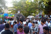 thrissur-pooram-images-kerala