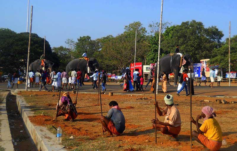 thrissur-pooram-vedikkettu-preparations