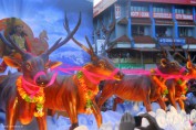 kerala-photos-onam-festival