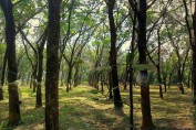 kerala-photos-thrissur-india