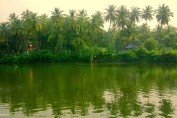 palakkad-nature-picture-kerala
