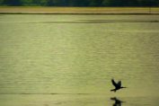 kerala-nature-images-thrissur