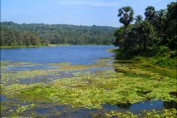 poomala-dam-thrissur-photos