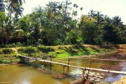 kerala-thrissur-images-tourist