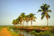 kerala-tourism-photo-thrissur