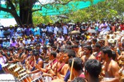 thrissur-pooram-festival-images