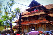 kerala-thrissur-pooram-images
