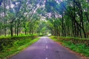 kerala-tourism-photos-kottayam