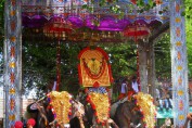 madathilvaravu-thrissur-pooram