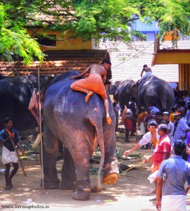 thrissur-pooram-pictures-kerala