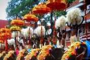 paramekkavu-thrissur-pooram-image