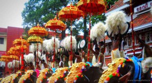 paramekkavu-thrissur-pooram-image