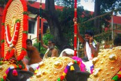 pooram-images-kerala-thrissur