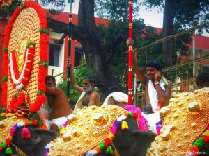 pooram-images-kerala-thrissur