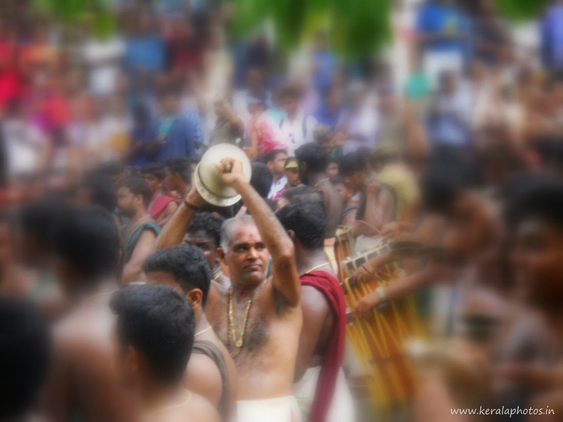 thrissur-pooram-festival-pictures.jpg