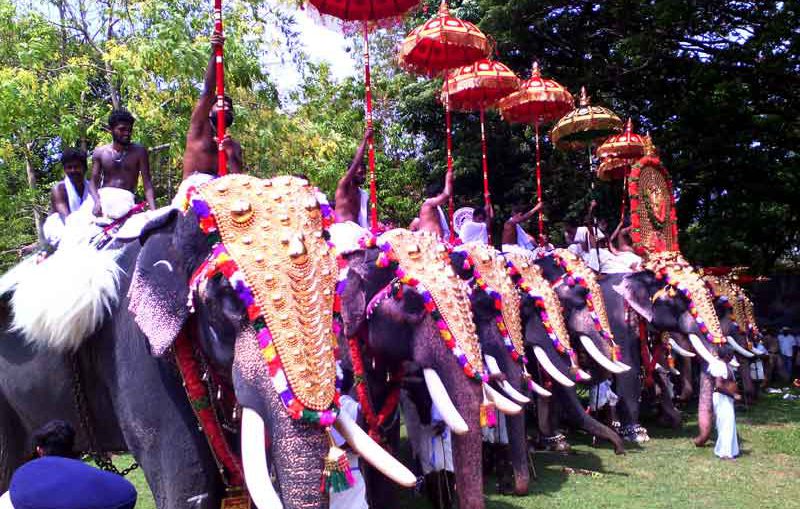 Thrissur Pooram Festival Pictures