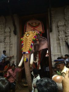 Elephant at Vadakkunnathan temple - Thrissur Pooram
