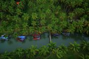 Kerala village photos - Engandiyur
