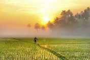 Palakkad natural places pictures