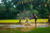 kerala-village-photos-thrissur